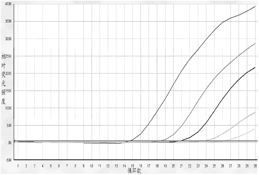 Candida glabrata PCR (polymerase chain reaction) assay kit and method