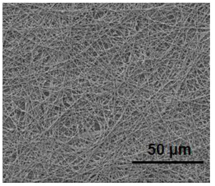 Underwater transparent silicon dioxide nanofiber substrate as well as preparation method of substrate and application of substrate to capture of circulating tumor cells