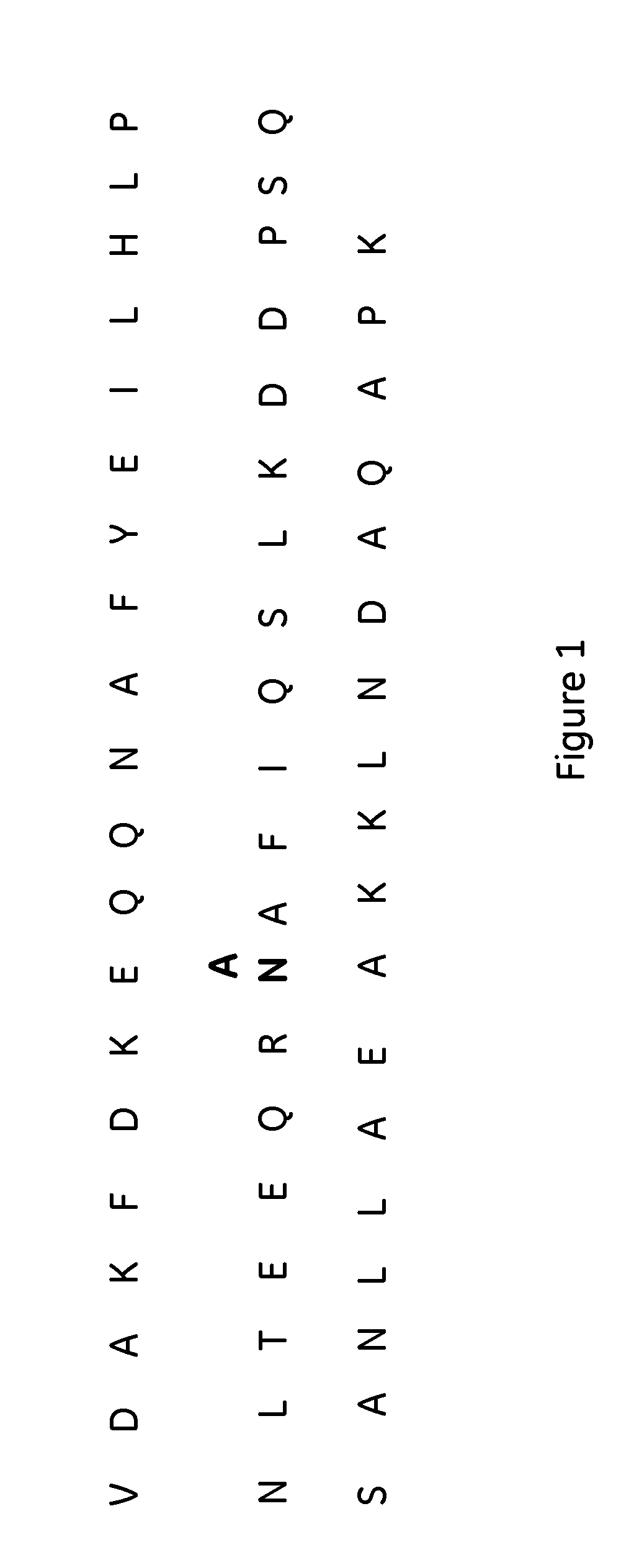 Affinity chromatography matrix