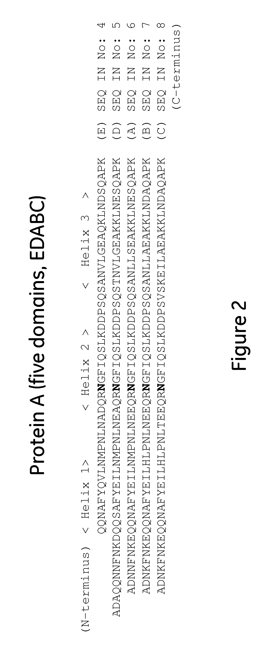 Affinity chromatography matrix