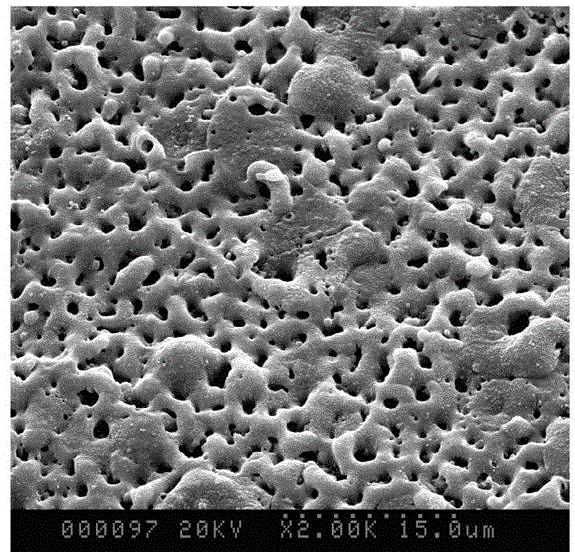 Preparation method of magnesium alloy surface micro-arc oxidation-electrophoresis composite coating