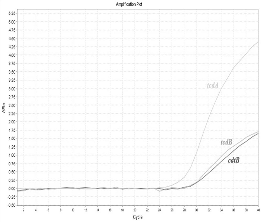 Multiplex fluorescent quantitative PCR primer, probe and kit for detecting clostridium difficile producing toxins