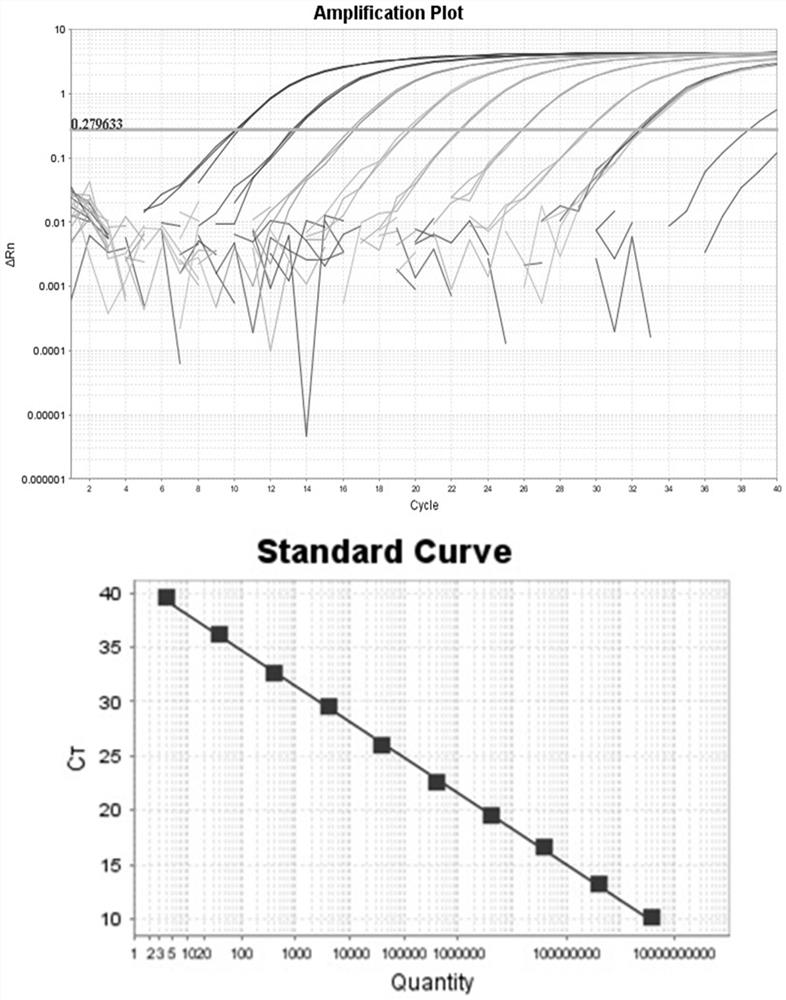 Multiplex fluorescent quantitative PCR primer, probe and kit for detecting clostridium difficile producing toxins