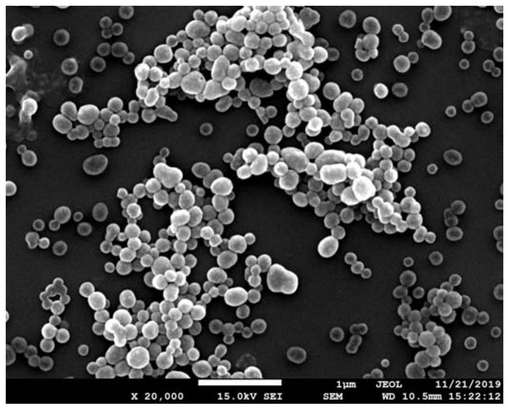 Nano-selenium-zein composite nano-particle and preparation method thereof