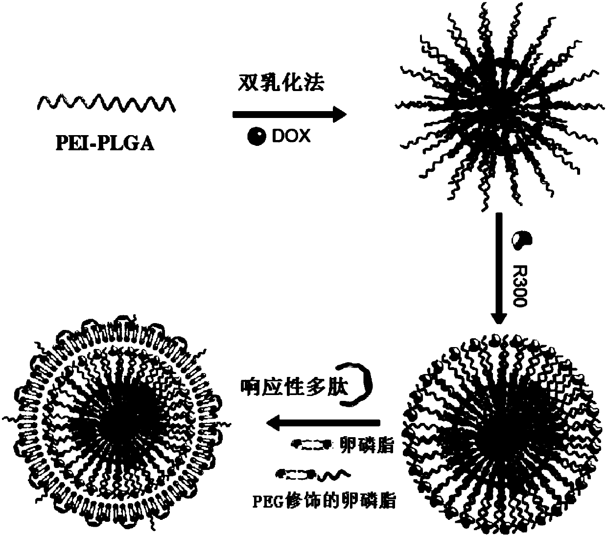 A kind of liposome-polymer drug-loaded nanoparticle and its preparation method and application