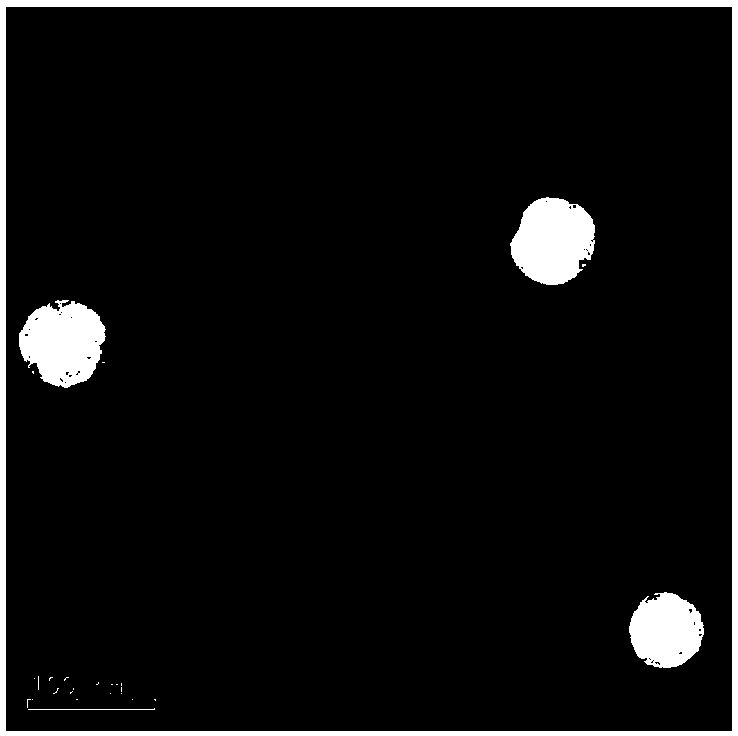 A kind of liposome-polymer drug-loaded nanoparticle and its preparation method and application