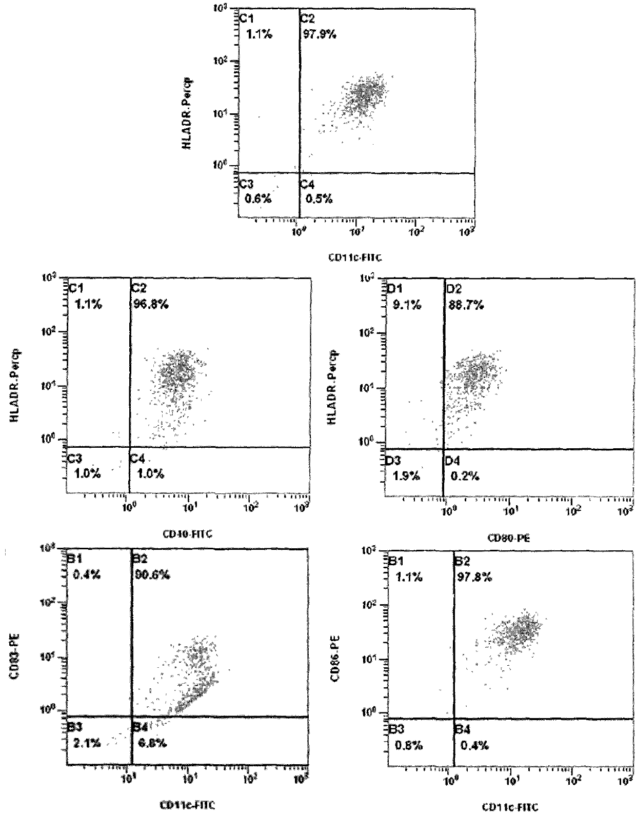 Preparation method of large-scale culture dendritic cell vaccine and application thereof