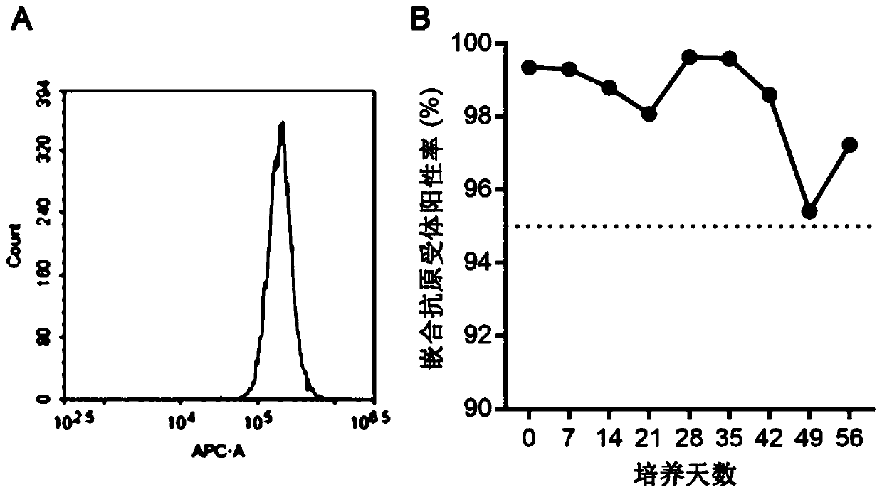 Chimeric antigen receptor capable of specifically activating NK cells and application thereof