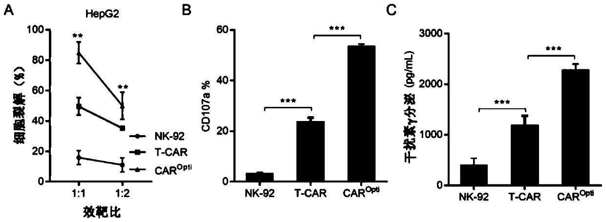 Chimeric antigen receptor capable of specifically activating NK cells and application thereof