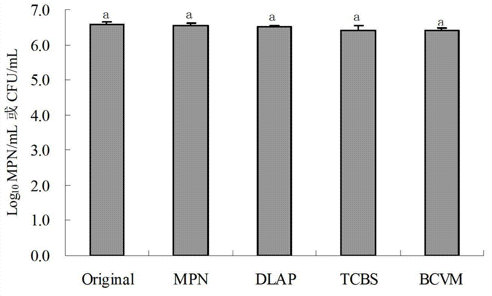 Method for quickly determining total amount of Vibrio parahaemolyticus in aquatic product