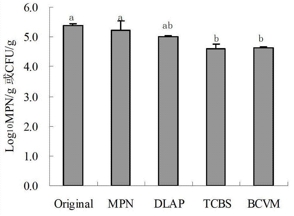 Method for quickly determining total amount of Vibrio parahaemolyticus in aquatic product