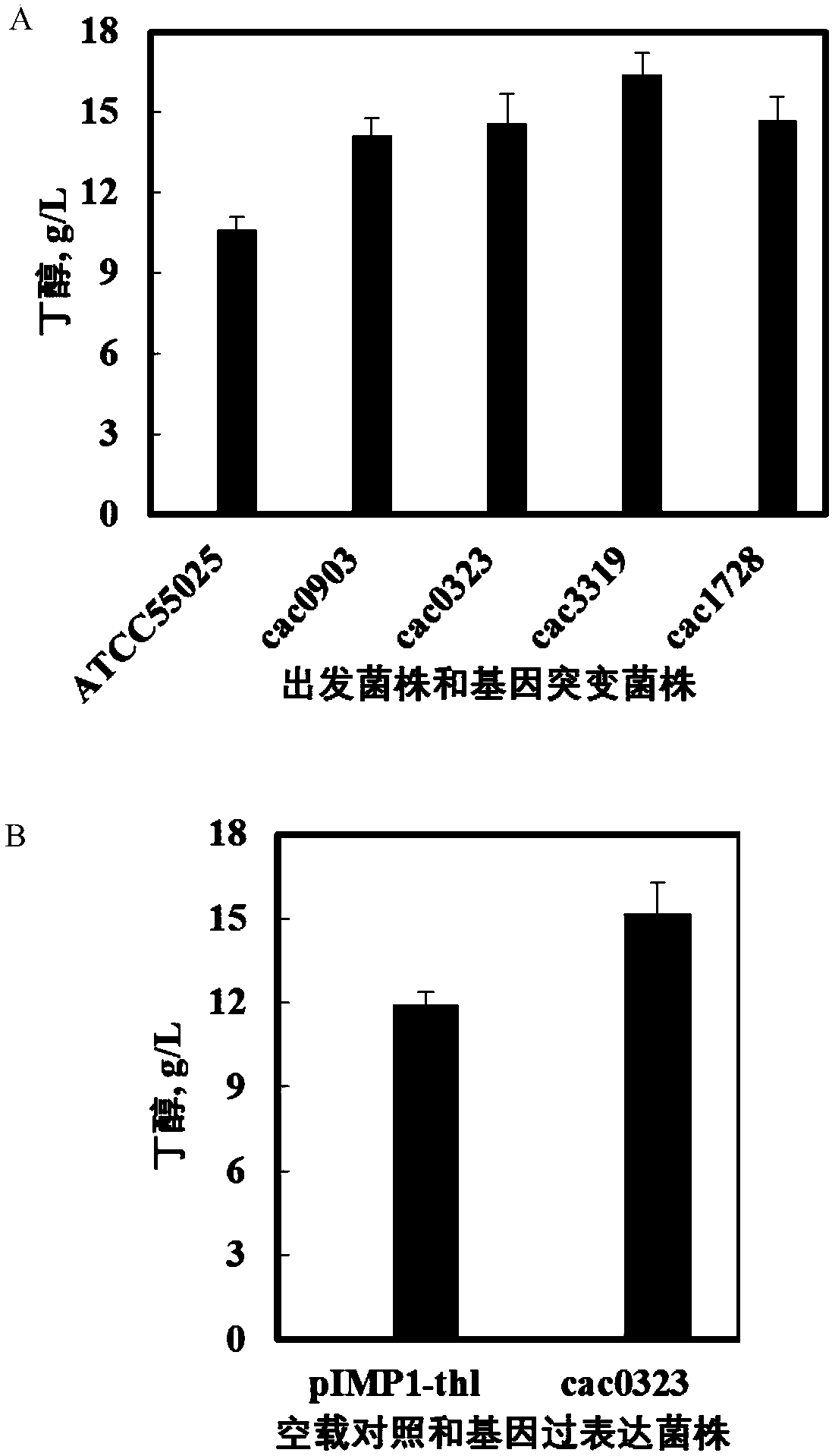Clostridium modified by kinase gene with phosphorylation function and application of clostridium