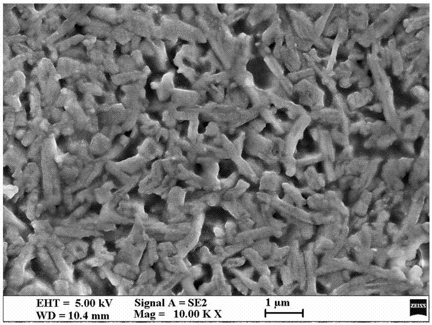 ZrO2 (zirconium oxide) and HfO2 (hafnium oxide)-codoped microcrystalline glass of dentistry