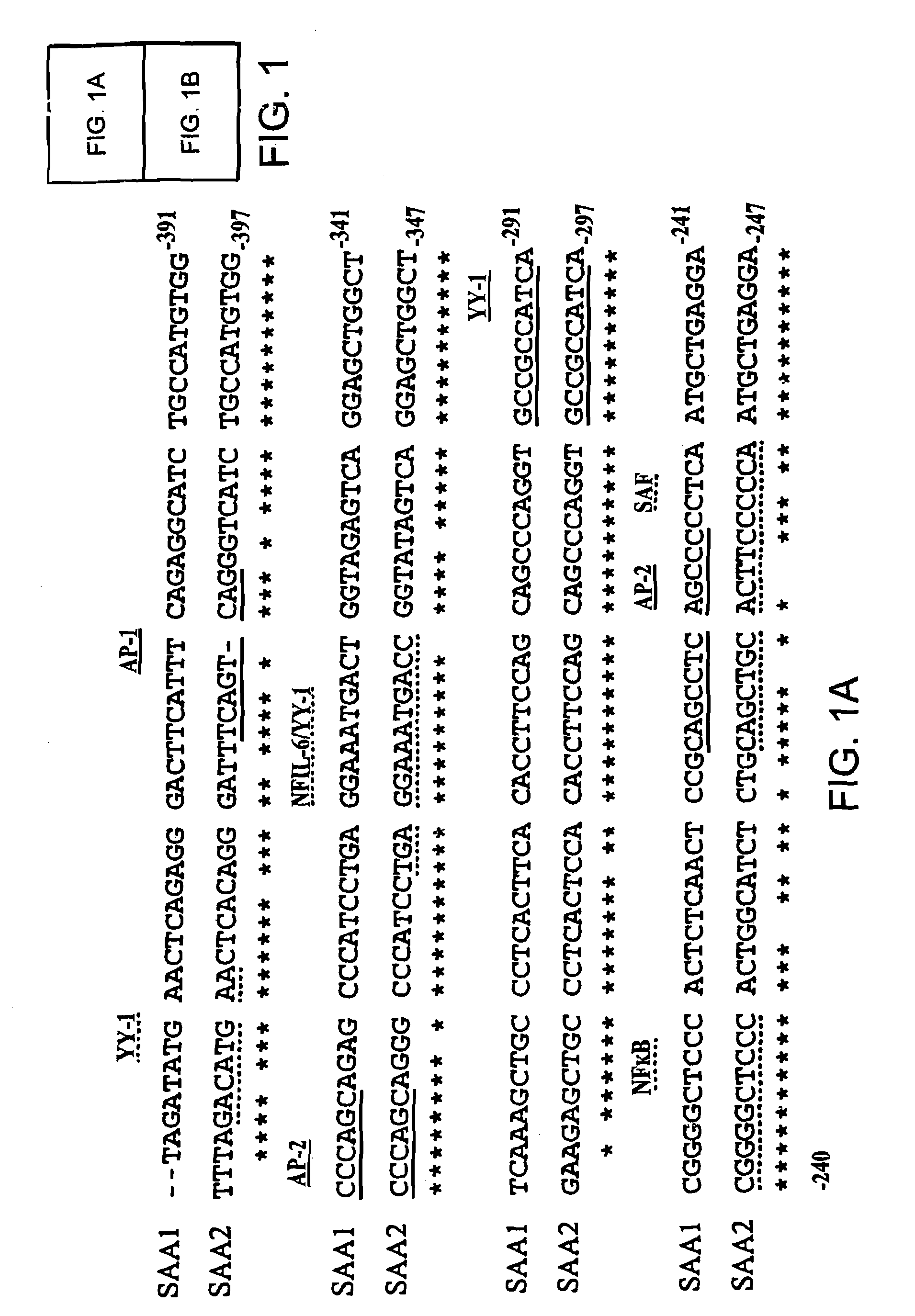 Methods for determining drug responsiveness