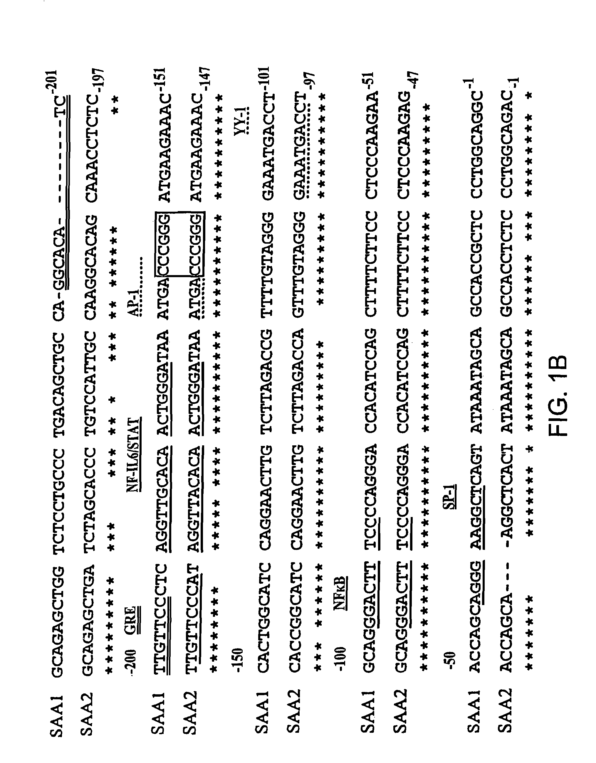 Methods for determining drug responsiveness