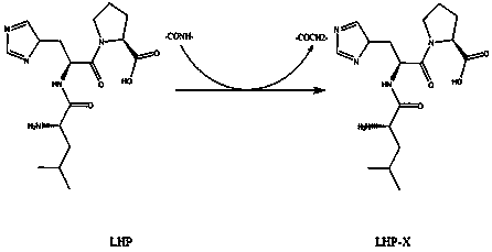 Method for improving structure of ACE inhibitory peptide prepared from food protein