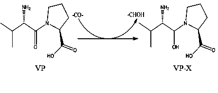 Method for improving structure of ACE inhibitory peptide prepared from food protein