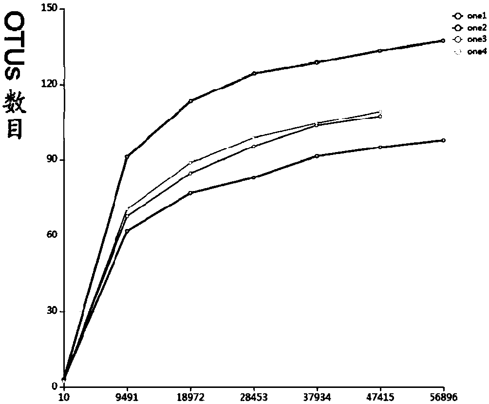 Method for analyzing plant endophyte colonies