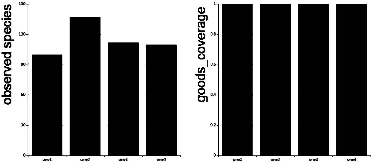 Method for analyzing plant endophyte colonies