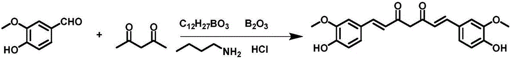 Curcumin-amino acid conjugate and application