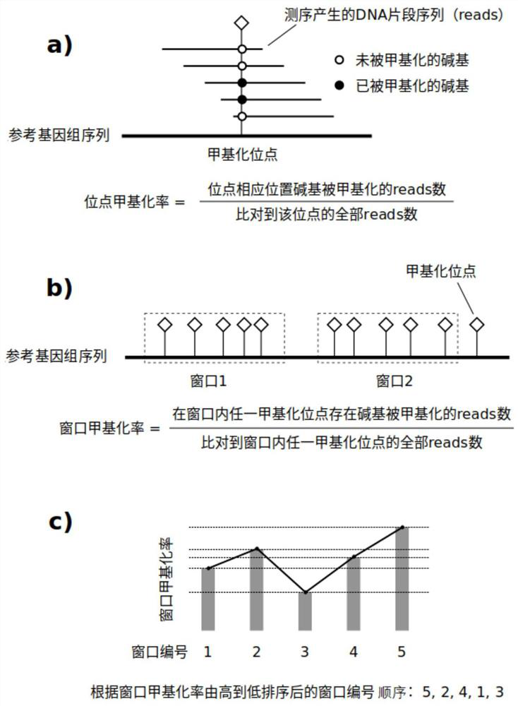 System for determining sample type based on DNA methylation level, readable medium and application thereof