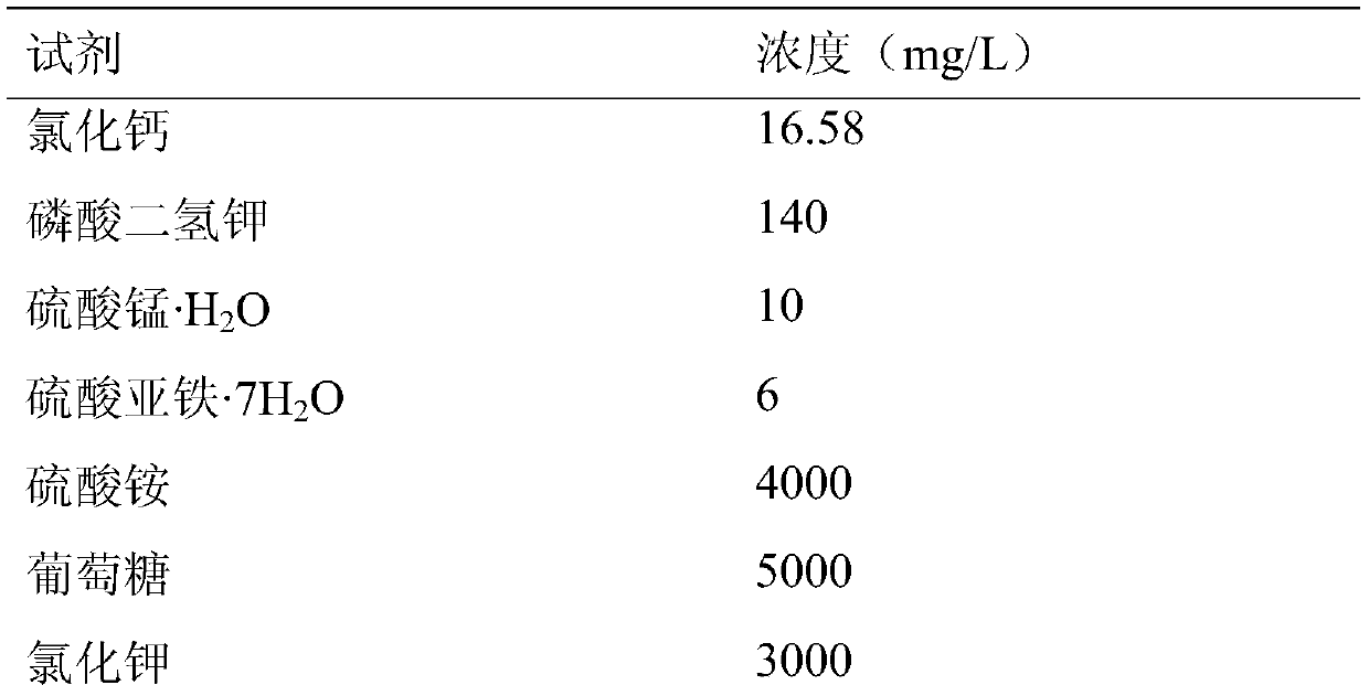 A kind of silac medium utilizing arginine-labeled bacteria and its preparation method and application