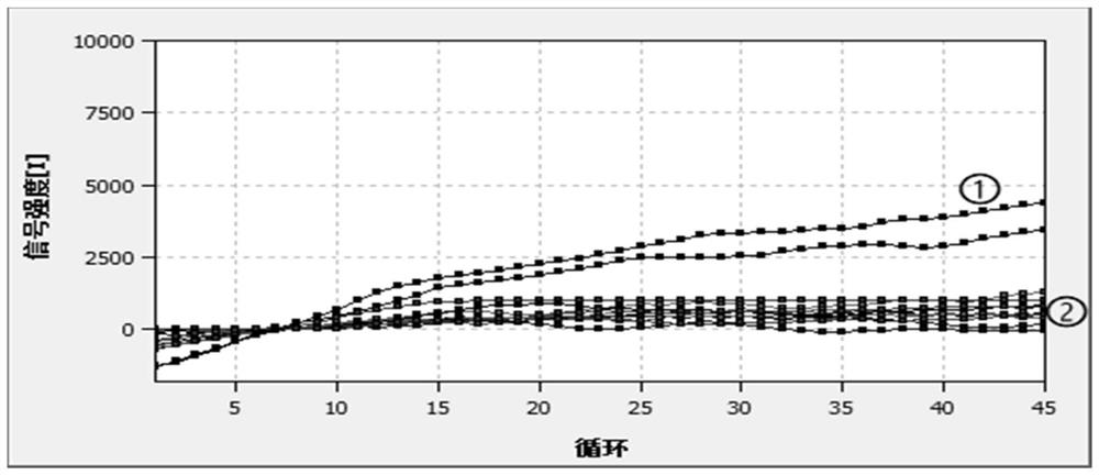 Reagent for detecting porcine circovirus type 2e and application thereof