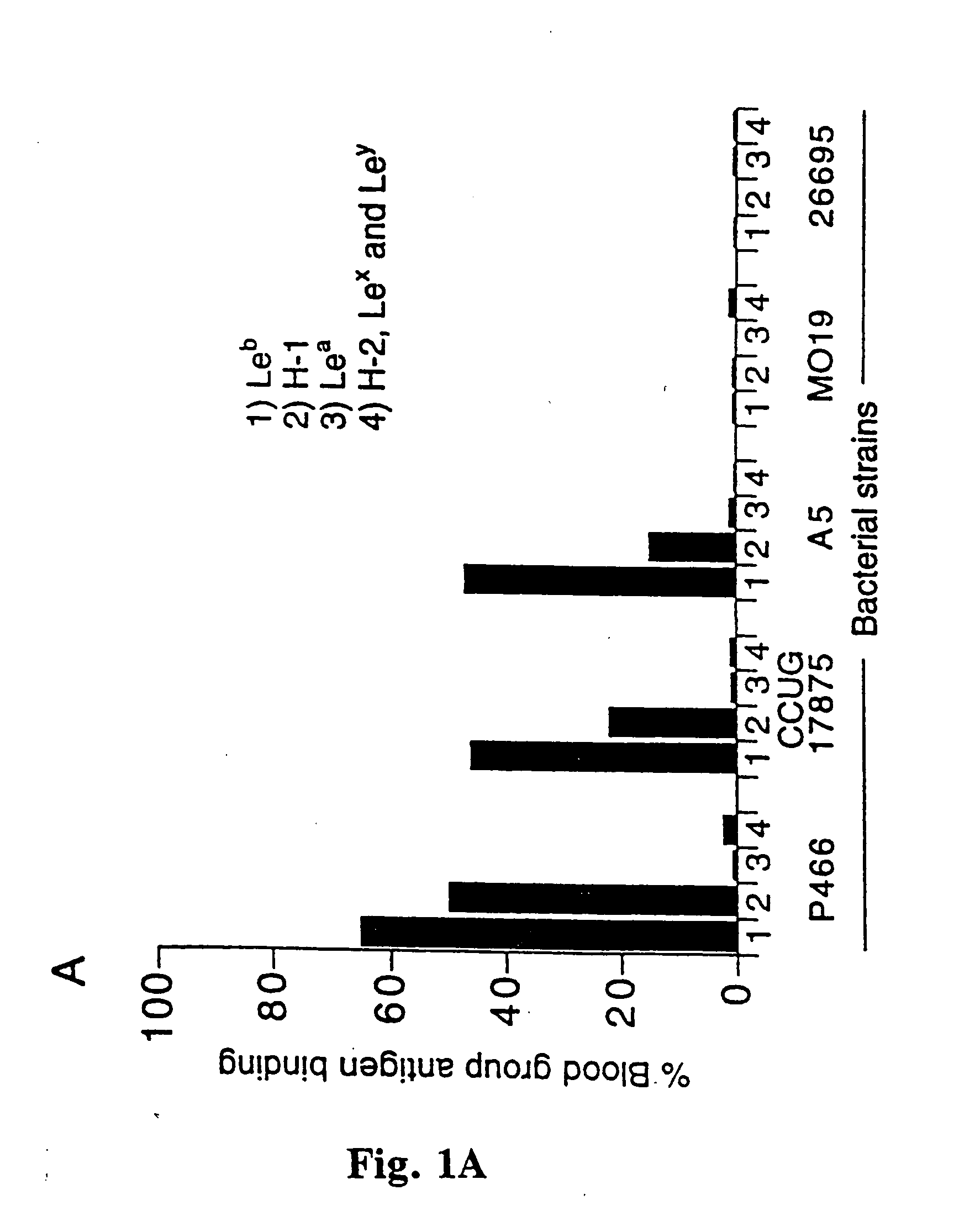 Helicobacter pylori adhesin binding group antigen