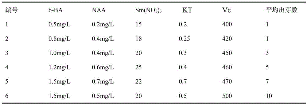 Reproduction method for prunus wilsonii