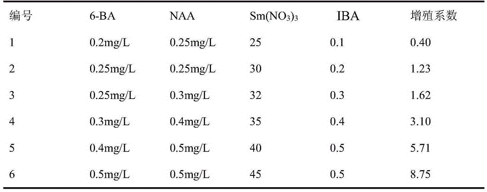 Reproduction method for prunus wilsonii