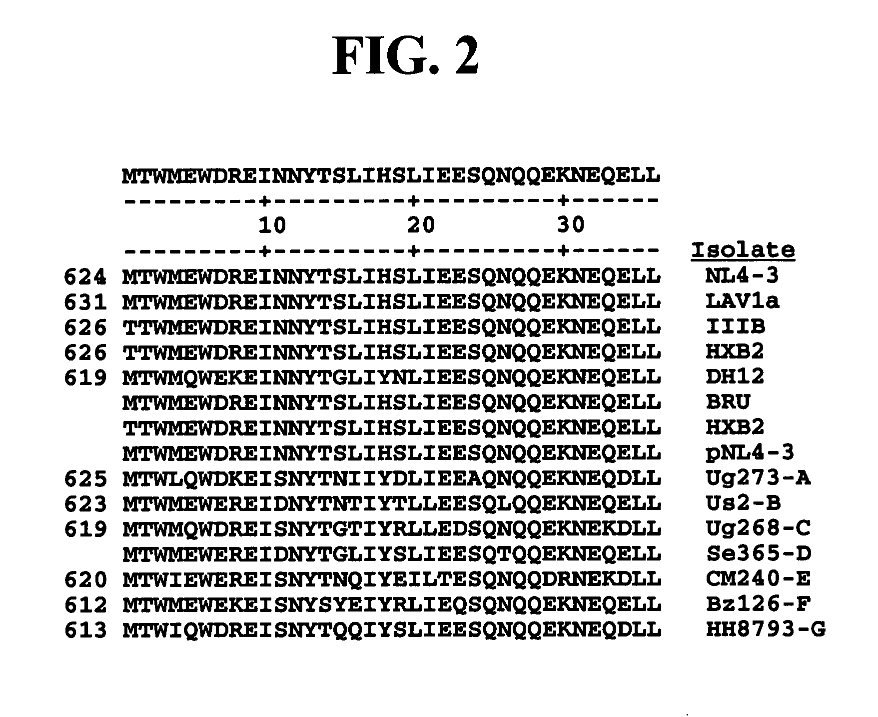 HIV fusion inhibitor peptides with improved biological properties