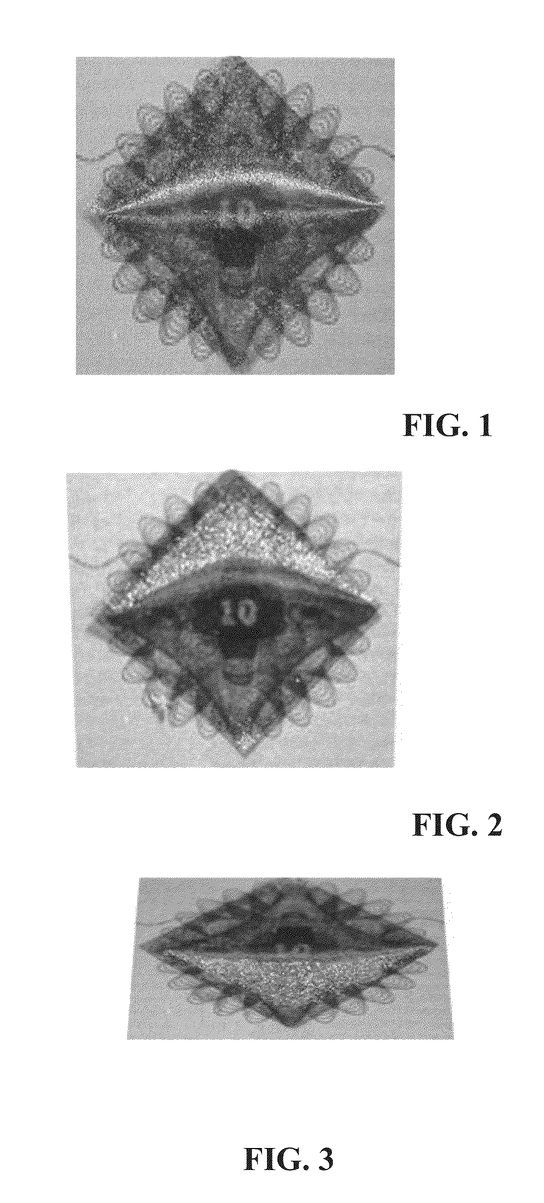 Article with curved patterns formed of aligned pigment flakes