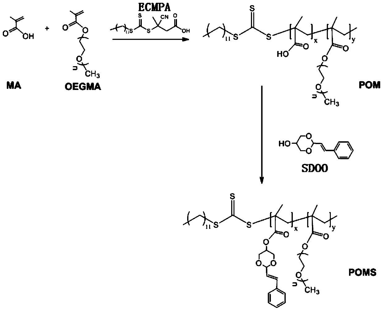 PH-sensitive amphiphilic polymer capable of releasing 3-phenyl-2 ...