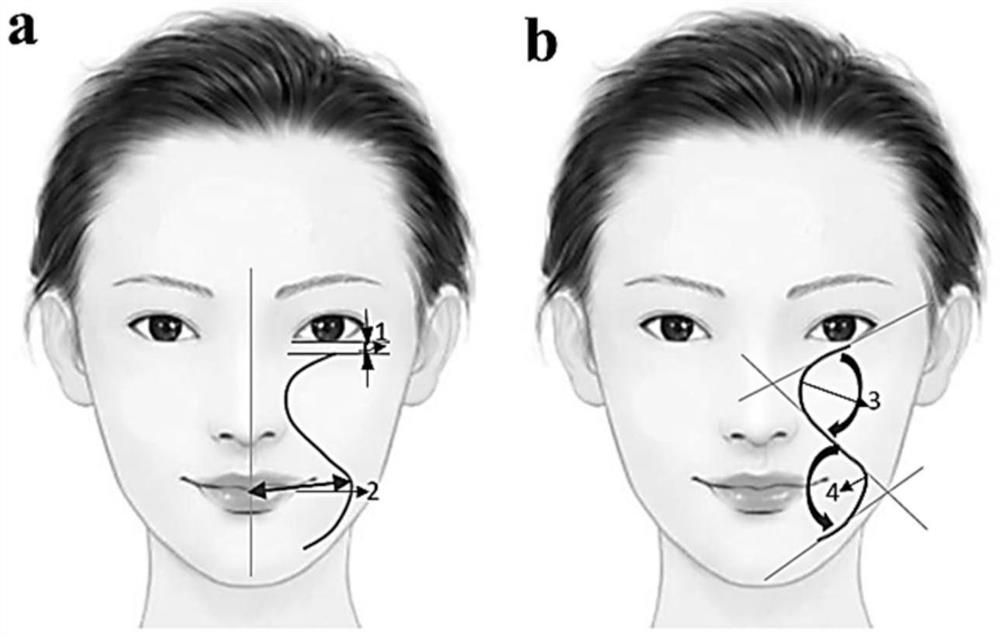 Method for assessing facial apparent age, degree of facial aging and its application