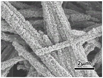 Preparation method of lead titanate/zinc oxide composite nanostructure on a flexible substrate