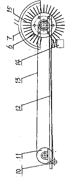 Method and device for removing wood side plate tegument