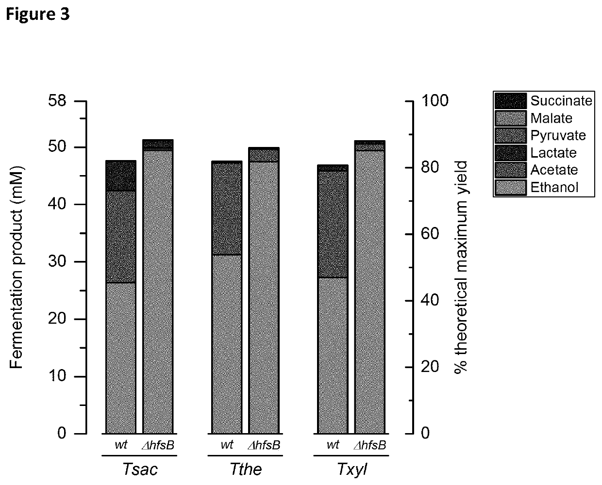 Increased ethanol production by thermophilic microorganisms with deletion of individual hfs hydrogenase subunits