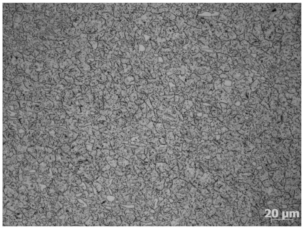 High-carbon high-chromium martensitic stainless steel for cutter and preparation method thereof