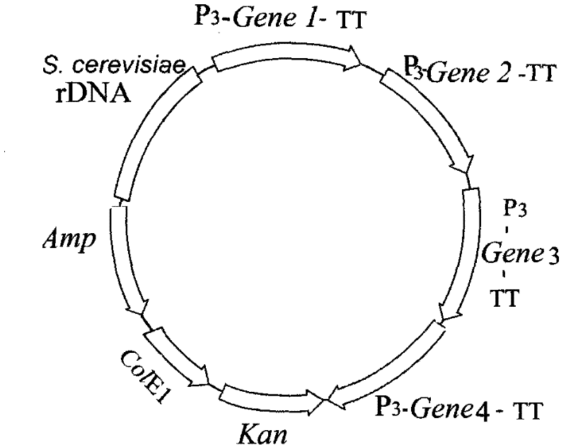 Production of recombinant mixed isoamylases, alpha amylases and glucoamylases