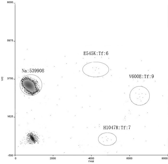 PIK3CA gene and BRAF gene mutation multiple detection primer probe and kit thereof