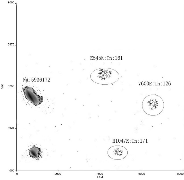 PIK3CA gene and BRAF gene mutation multiple detection primer probe and kit thereof