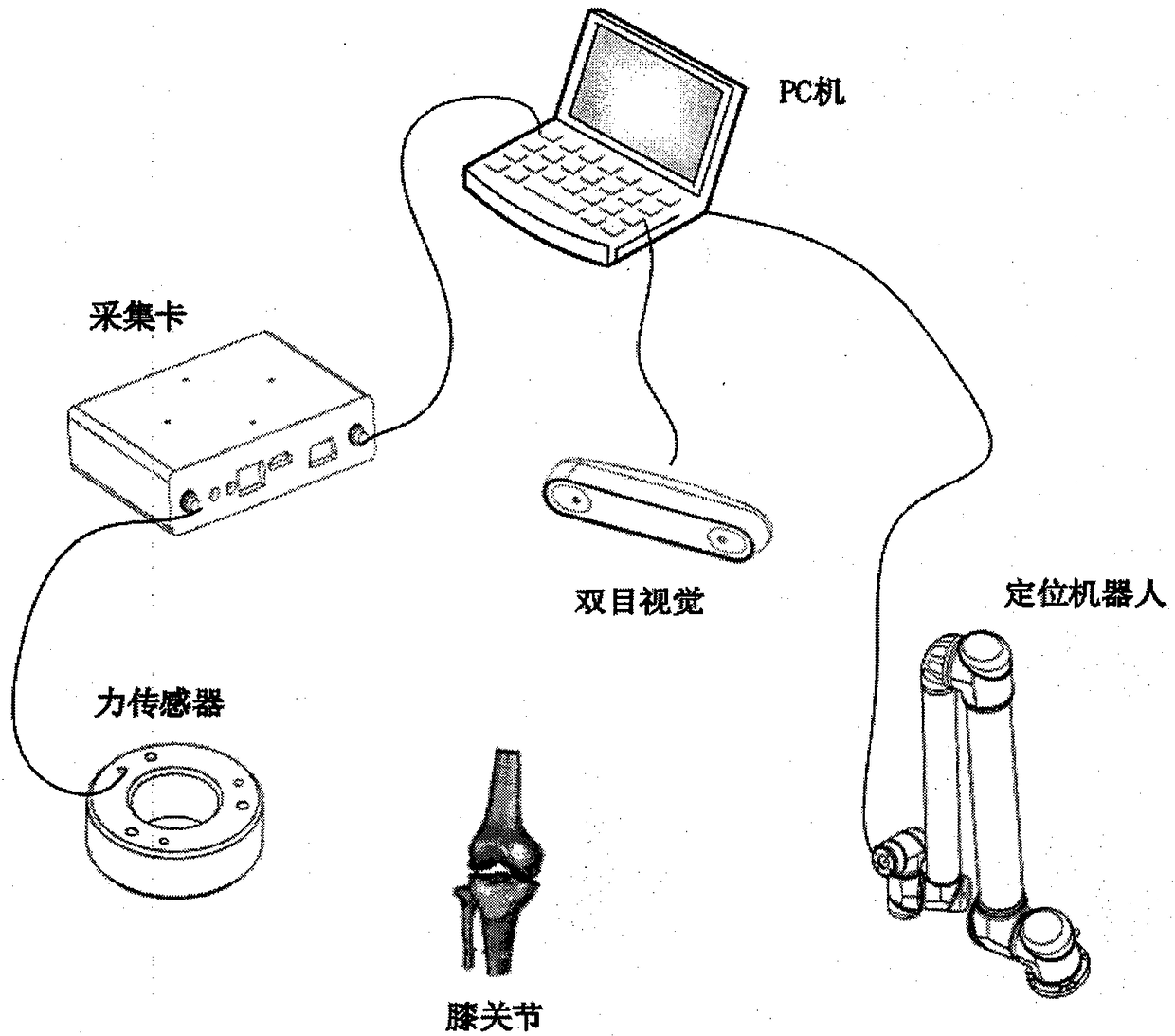 Measuring system for biomechanical characteristics of human cadaver knee joint cruciate ligament