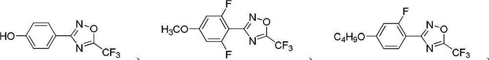 1,2,4-oxadiazole compound as well as preparation method and application thereof