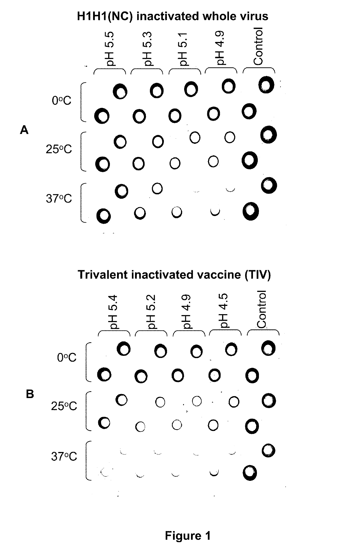Influenza Vaccines