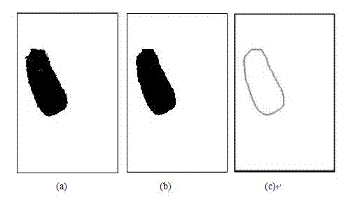 Image identification method and image classification method for coprinus comatus