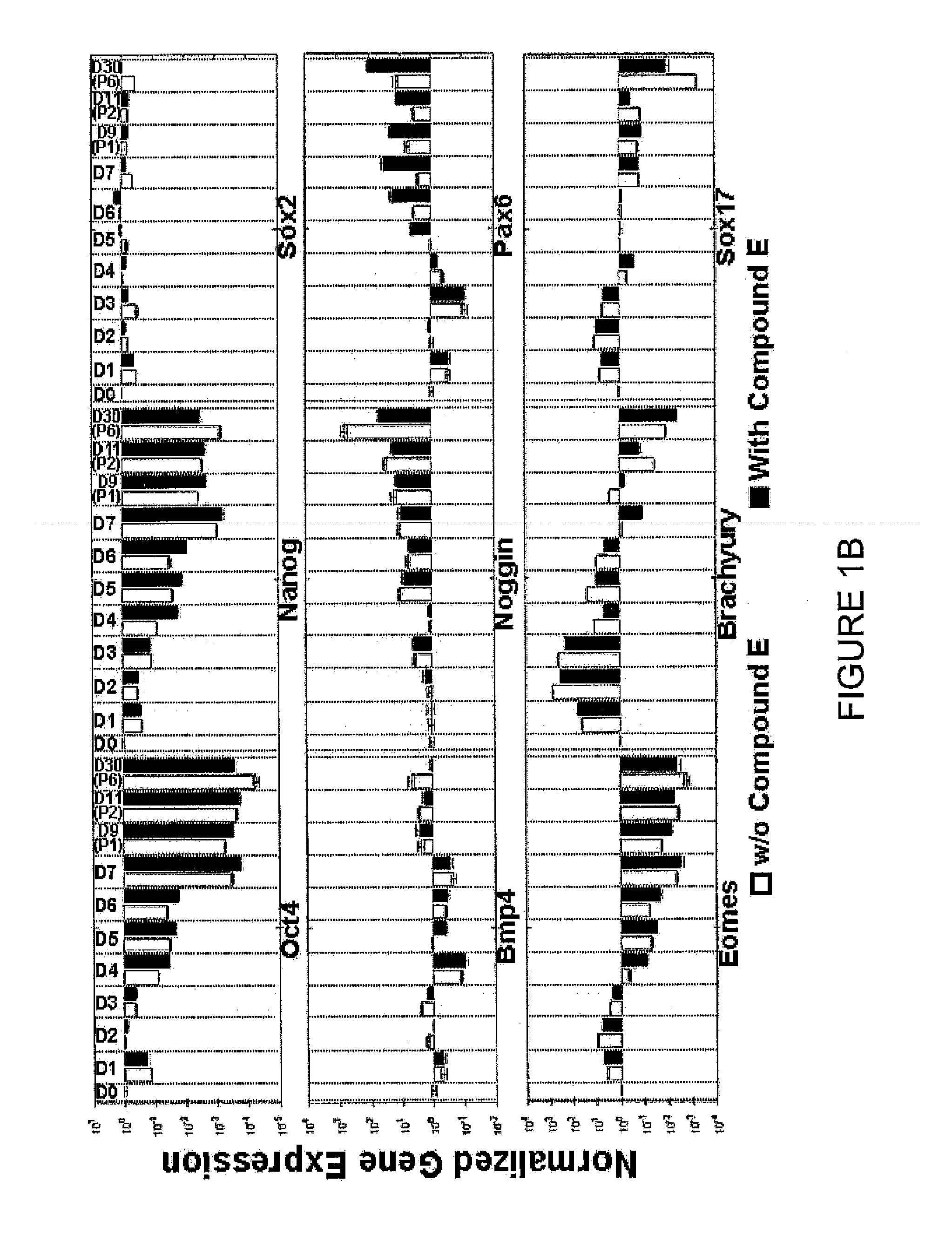 Expandable cell source of neuronal stem cell populations and methods for obtaining and usnig them