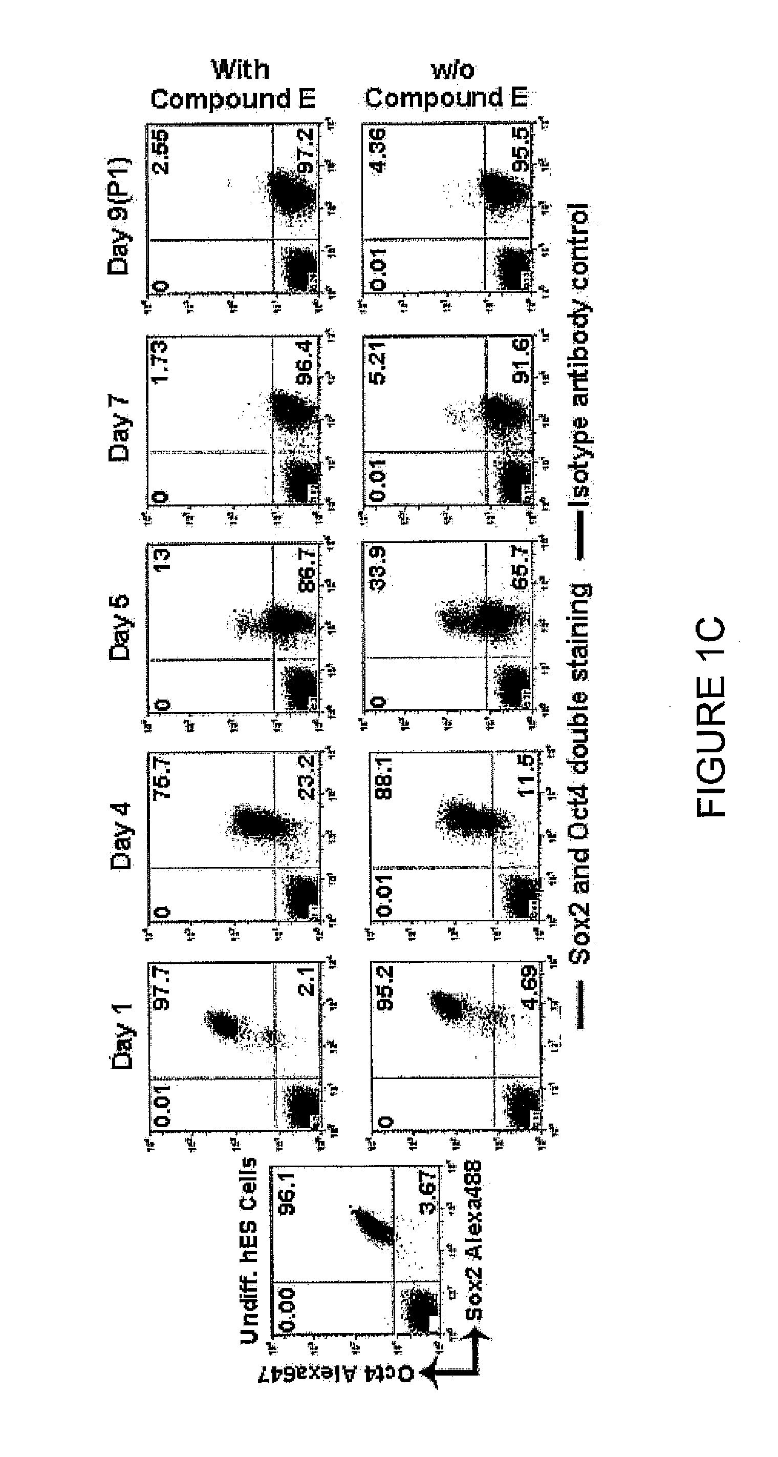 Expandable cell source of neuronal stem cell populations and methods for obtaining and usnig them