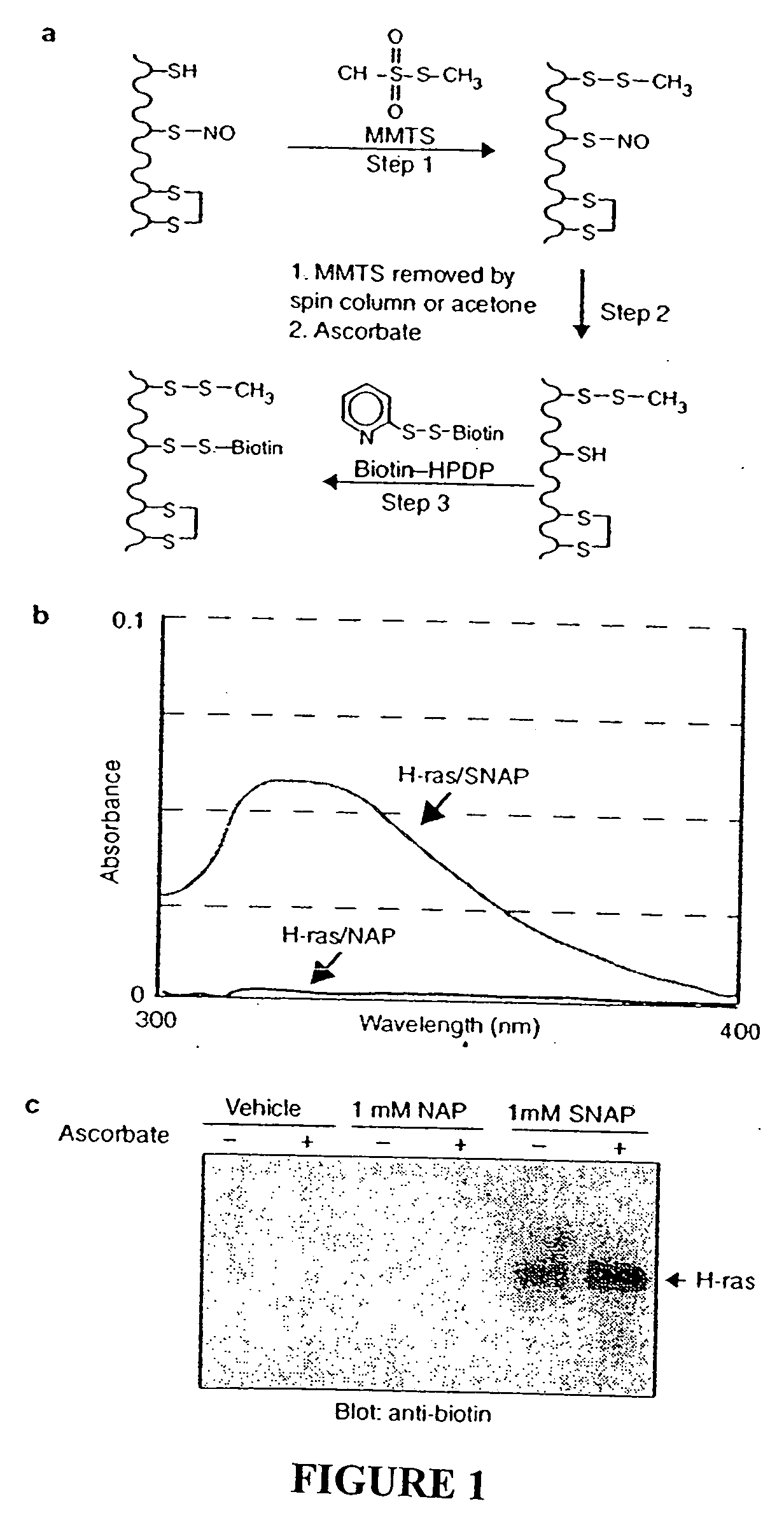 Method for assaying protein nitrosylation