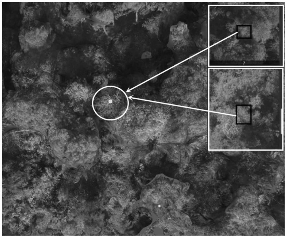 Clustering method for objects in aerial image of unmanned aerial vehicle