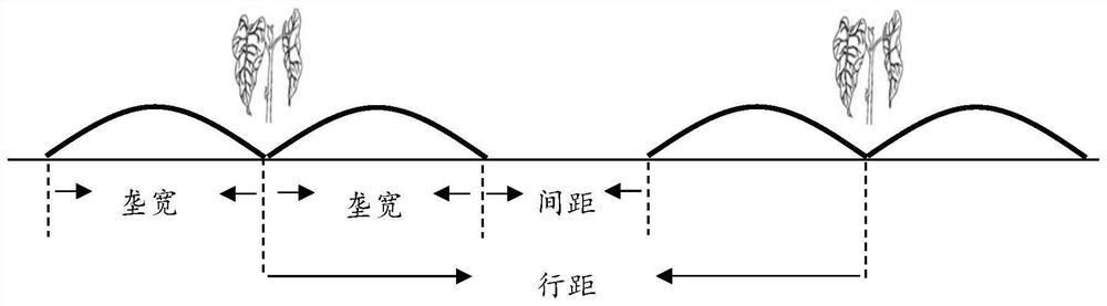 A rain-collecting planting method for flue-cured tobacco ridge film furrow planting